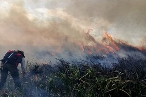 Ley sobre incendios: el posible impacto ambiental