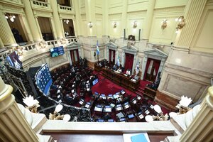 El Senado prorrogó las sesiones virtuales hasta marzo