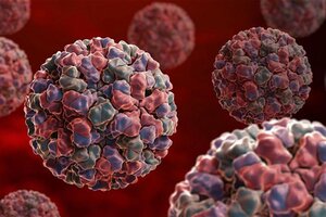 Alerta mundial por un brote de "norovirus" en China