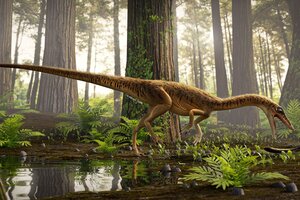 Descubren en Brasil uno de los antepasados más antiguos del Tyrannosaurus Rex (Fuente: EFE)
