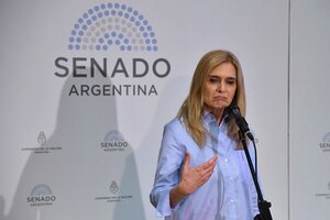 Aborto legal: una senadora de Juntos por el Cambio adelantó que si se aprueba la ley irán a la Justicia  (Fuente: Télam)