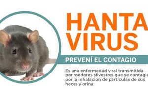 Dos muertos y 14 infectados por hantavirus en Salta durante el 2020