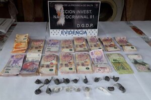 Cinco detenidos por siembra, cultivo y venta de marihuana  (Fuente: Policía de Salta)
