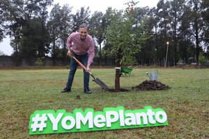 Yo Me Planto: cómo es el proyecto de forestación que lanzó Fernando Gray