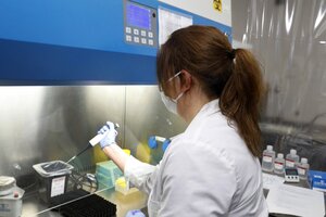 Vacuna argentina contra el coronavirus: ¿en qué fase está la tecnología local?