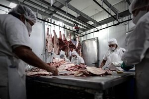 Dónde conseguir los cortes de carne con precios rebajados (Fuente: EFE)
