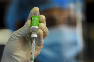 COVAX: la OMS asignó a la Argentina 2,2 millones de vacunas