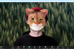 Cómo usar los filtros de Zoom para no "aparecer como gato"