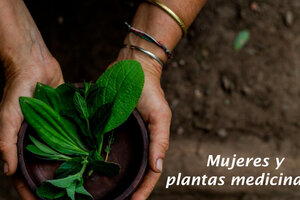 Curso para revincular a mujeres con plantas medicinales
