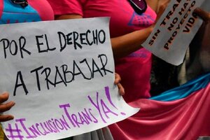 Los municipios salteños que aprobaron el cupo laboral trans no lo aplican 