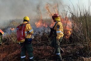 Denuncian falta de control sobre nuevos incendios en las islas del Paraná (Fuente: NA)