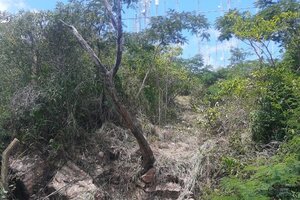 Ambiente paralizó un desmonte ilegal en pleno cerro 20 de Febrero