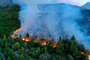 Declaran zona de desastre el área arrasada por los incendios en El Bolsón (Fuente: Télam)