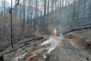 El Gobierno refuerza la asistencia en La Patagonia tras los incendios y envía vacunas (Fuente: EFE)