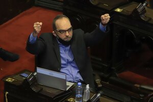El agravio de Fernando Iglesias a Estela de Carlotto durante la sesión de Diputados (Fuente: NA)