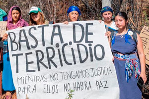Mujeres de pueblos originarios: la "Caminata Basta de Terricidio" que partió del sur y el norte se acerca a CABA 