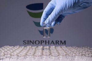 La negociación para que se produzca la vacuna Sinopharm en la Argentina
