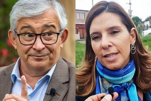 Salta: la fiscal penal de Derechos Humanos denunció por violencia de género a un diputado nacional que la calificó de "atorranta" 