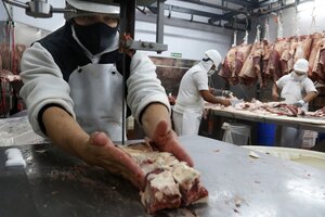 La industria de la carne en su laberinto (Fuente: Leandro Teysseire)