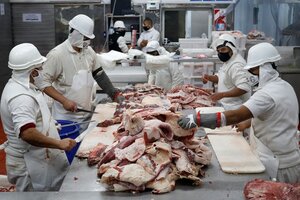 Descontrol en el sector de la carne (Fuente: Leandro Teysseire)