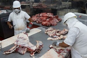 Sin acuerdo sobre oferta y precios de la carne (Fuente: Leandro Teysseire)