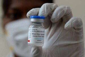 Cómo es Covaxin, la nueva vacuna que comprará la provincia de Buenos Aires (Fuente: AFP)