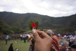 El Inti Raymi permite la abundancia y la sanación de las semillas y los cuerpos (Fuente: Gentileza de Ceprosi)
