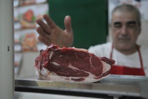 Carne trémula: El sector le da la espalda al gobierno (Fuente: Sandra Cartasso)