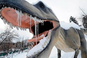 El frío pudo haber sido clave en la extinción de los dinosaurios