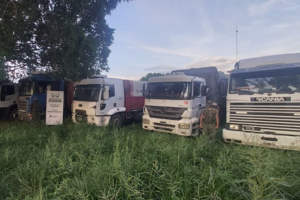 Contrabando de granos: imputaron a los 4 detenidos 