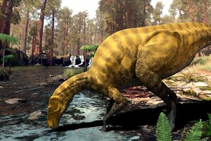Descubrieron en España los restos de una especie desconocida de dinosaurio (Fuente: EFE)