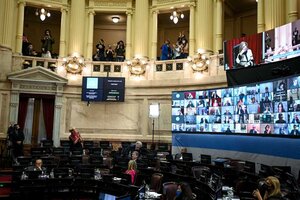 El Senado aprobó el alivio fiscal para monotributistas y la nueva ley de biocombustibles (Fuente: NA)