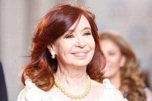 Cristina Kirchner se refirió al puma del Parque Nacional Los Glaciares que se volvió viral (Fuente: Télam)