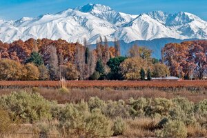 Mendoza, entre los 100 mejores lugares para recorrer durante el 2021 según la revista Time