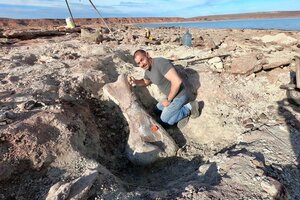 En Neuquén encontraron los restos de un dinosaurio gigante por la bajante de un lago