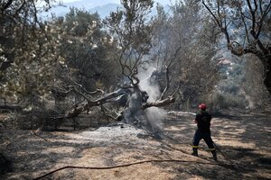 Ola de calor en Europa: incendios en Grecia, Turquía, Italia y España  (Fuente: AFP)