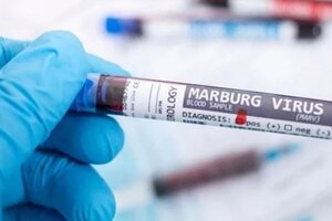 Guinea: murió un hombre a causa del virus de Marburgo, similar al ébola (Fuente: AFP)