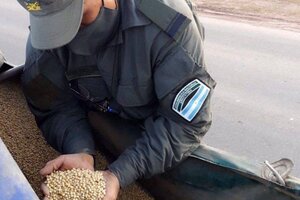 Detuvieron a un comisionista de Tartagal por contrabando de granos