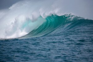 Murió en México un reconocido surfista de Mar del Plata
