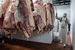 Exportaciones de carne bajo la lupa  (Fuente: Leandro Teysseire)