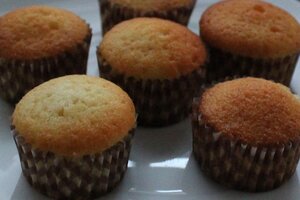 Salud de Salta admitió ante Naciones Unidas que encargó los muffins de soja