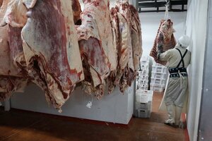 El Gobierno prorrogó las restricciones en la exportación de carne (Fuente: Leandro Teysseire)