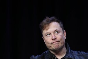 Starlink y la amenaza menos pensada por Elon Musk: registran errores de conexión en la versión beta por las palomas (Fuente: AFP)
