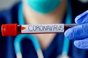 Coronavirus: la historia detrás de la nota que realizó un grupo de científicos y soci@s de Página/12