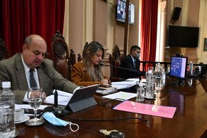 Enojo en el Senado por la prórroga de la Ley de emergencia sanitaria en Salta