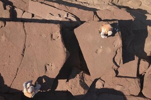 Encontraron huellas de un dinosaurio en la Patagonia (Fuente: Prefectura Naval Argentina)