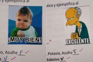 Las correcciones con memes de una docente entrerriana se volvieron virales