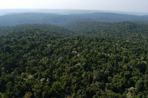 Misiones reclama a la Nación una compensación de $114 mil millones por su contribución en la lucha contra el cambio climático