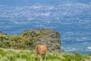 Catamarca es una de las dos provincias que no tiene parques nacionales (Fuente: Gonzalo Martinez)