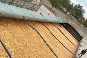 Entregaron a pequeños productores más de 51 mil kilos de soja secuestrada 